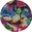 [Eclipse CS K] Eclipse CS (K)