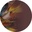 [OA2441 C5] OA2441 (C5)
