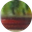 [B Felicity CS C] B Felicity CS (C)